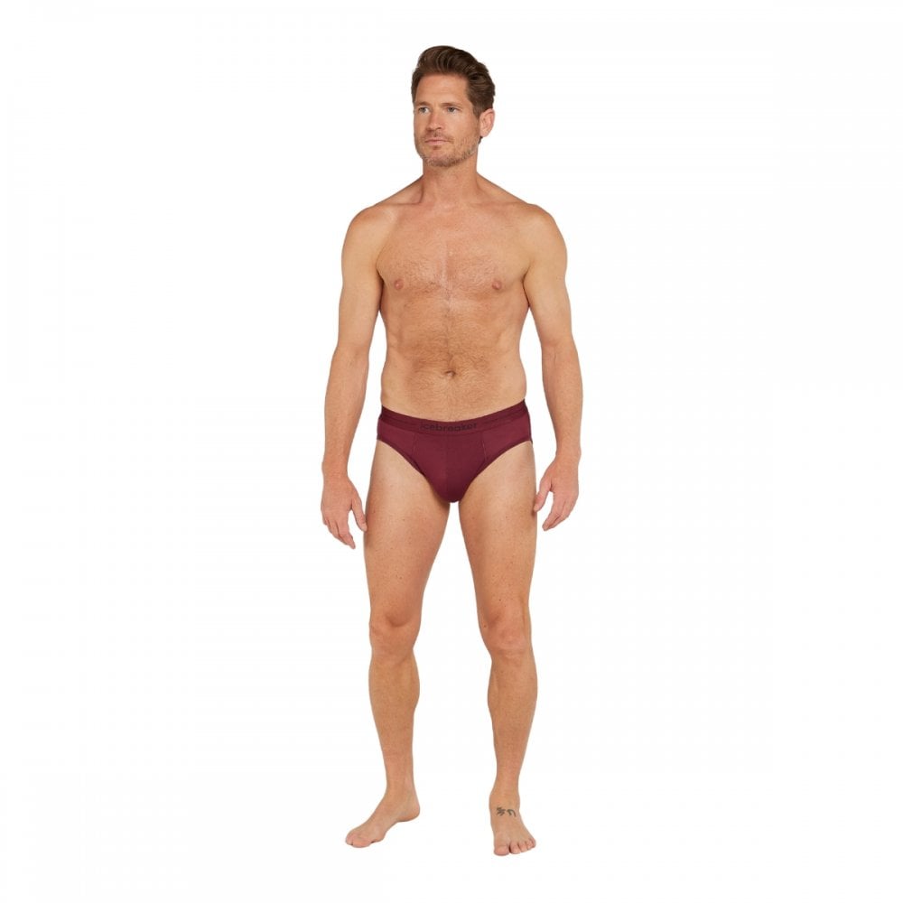 Icebreaker Mens Anatomica Briefs