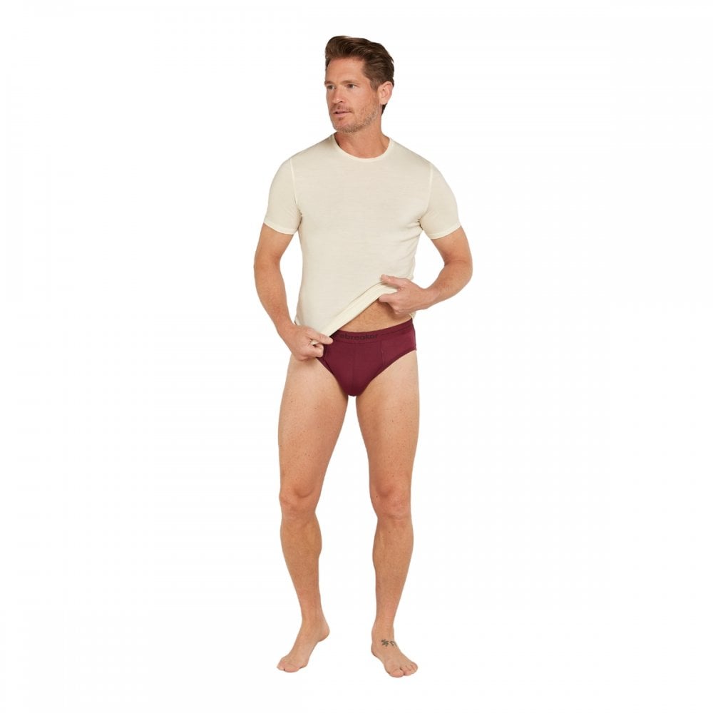 Icebreaker Mens Anatomica Briefs