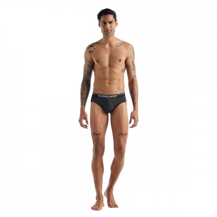 Icebreaker Mens Anatomica Briefs