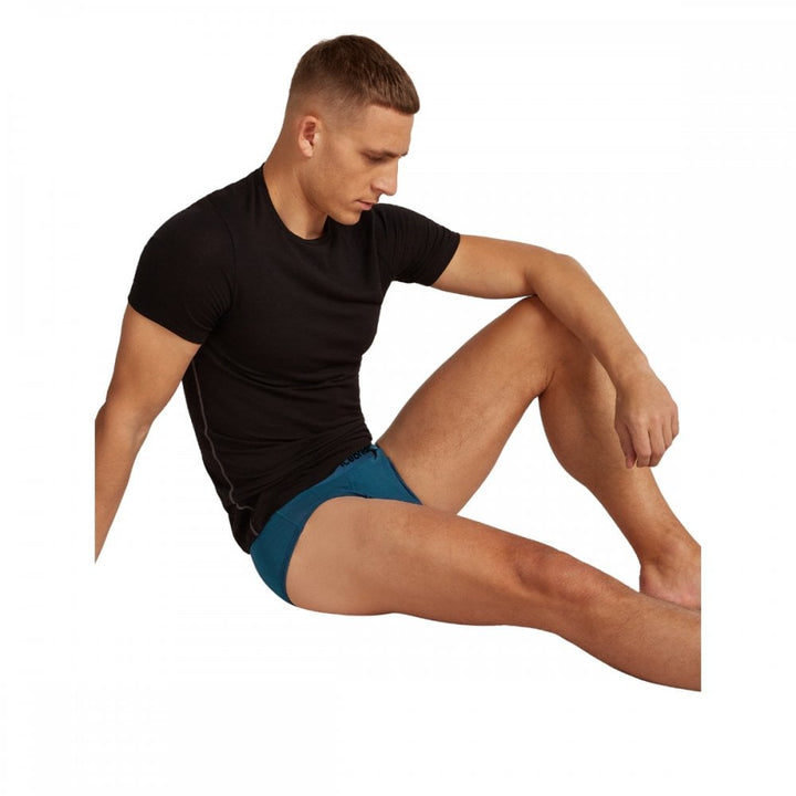 Icebreaker Mens Anatomica Briefs