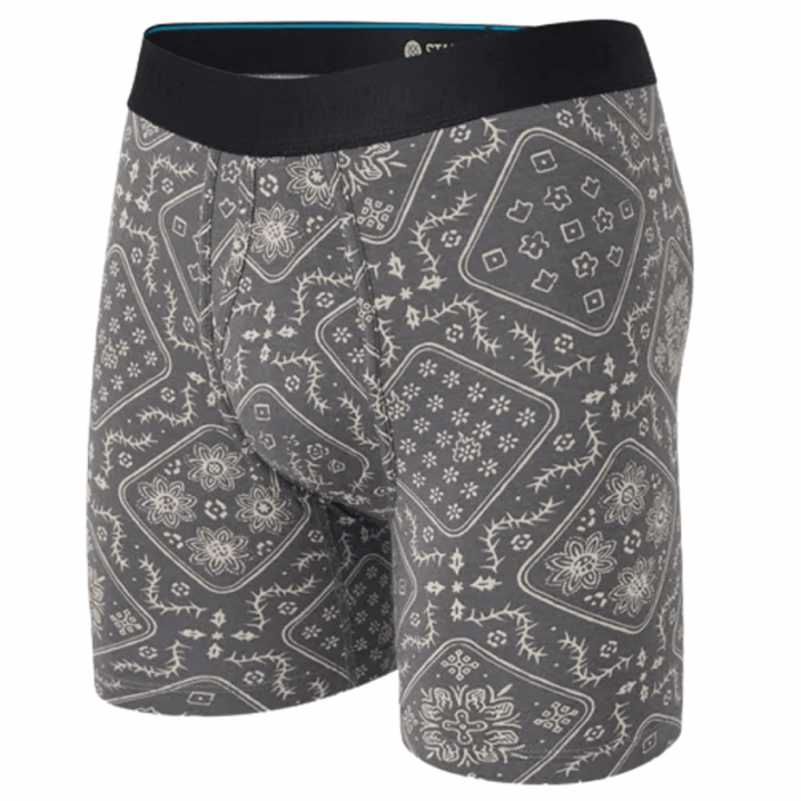 Stance It Is Paisley Wholester Boxers