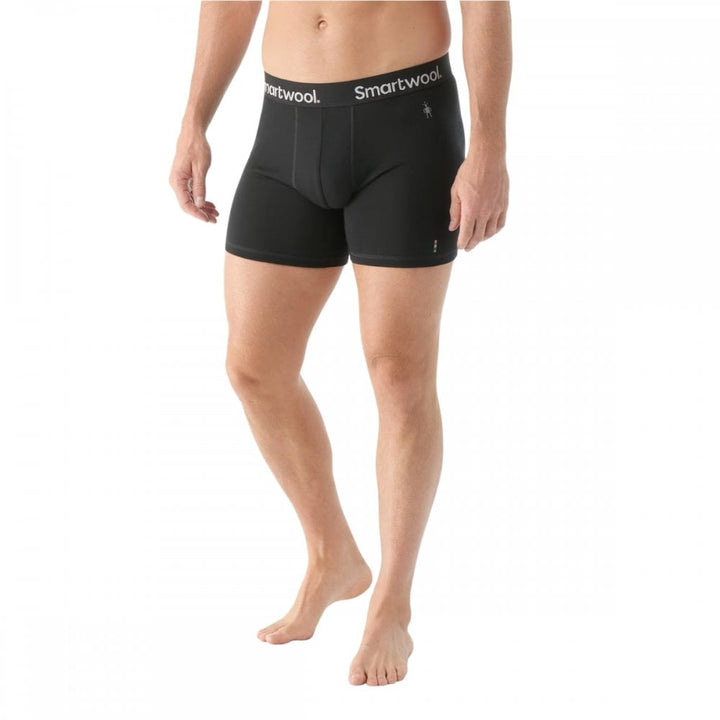 Smartwool Mens Everyday Merino Boxer Brief Boxed