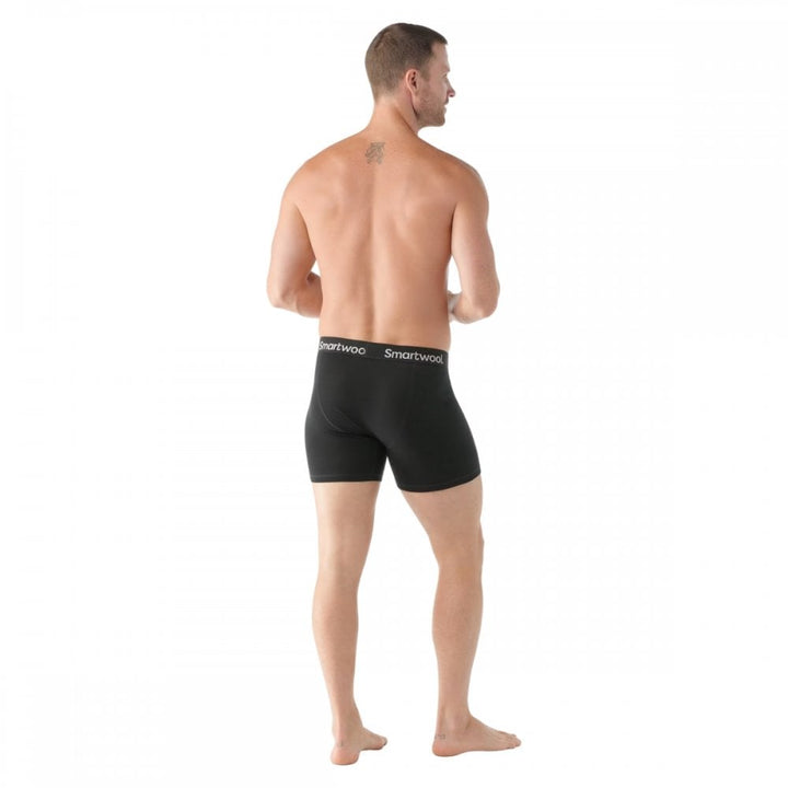 Smartwool Mens Everyday Merino Boxer Brief Boxed