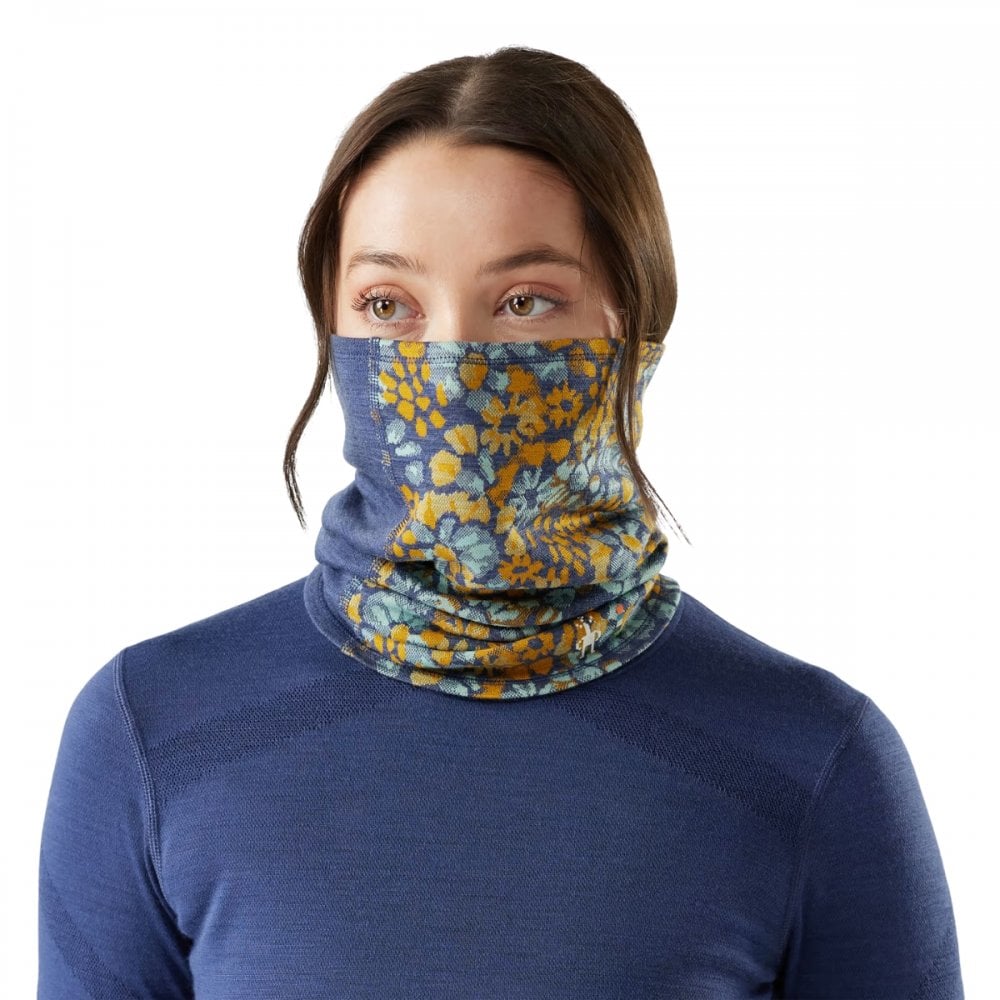 Smartwool Thermal Merino Colorblock Neck Gaiter