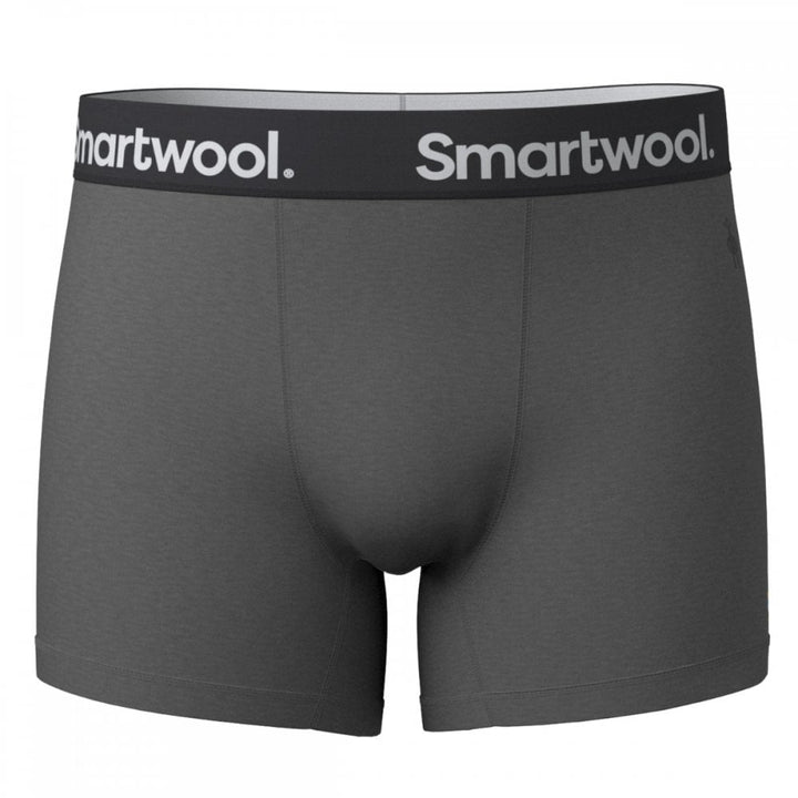 Smartwool Mens Active Boxer Brief