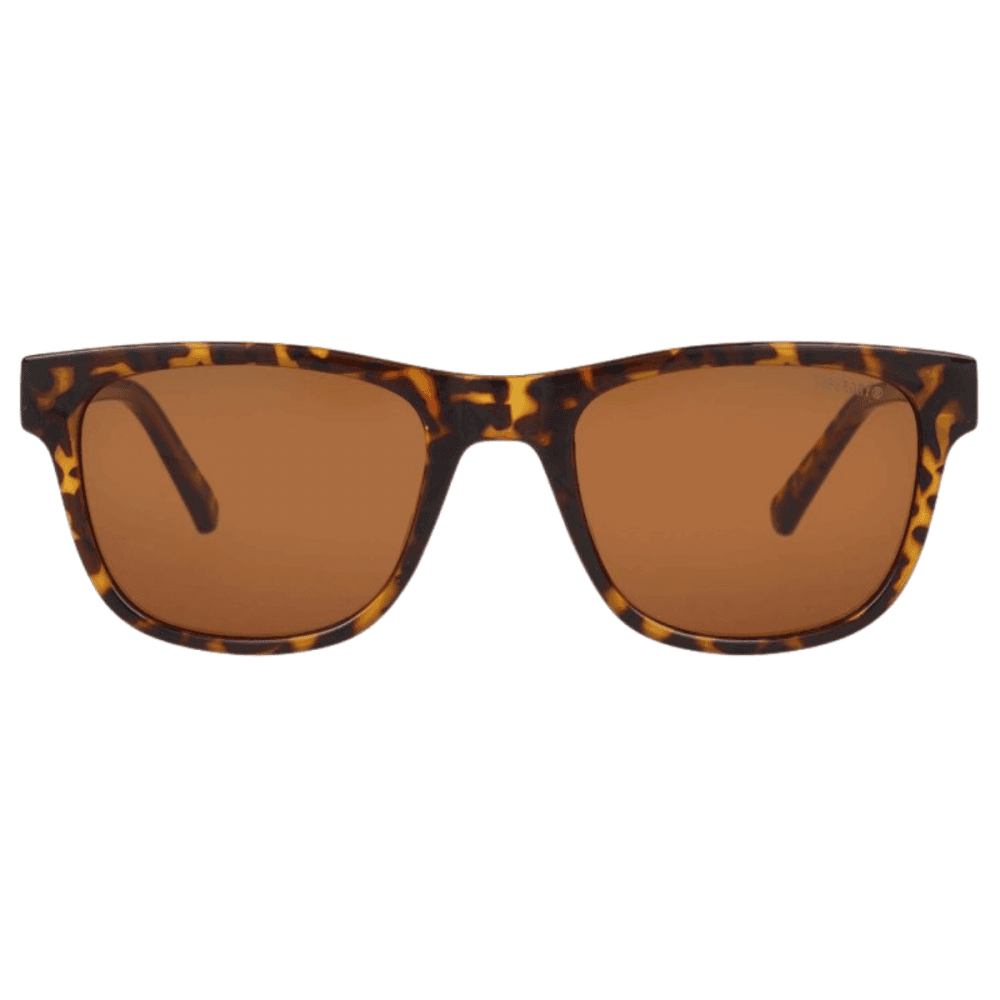 Superdry 5055 Sunglasses