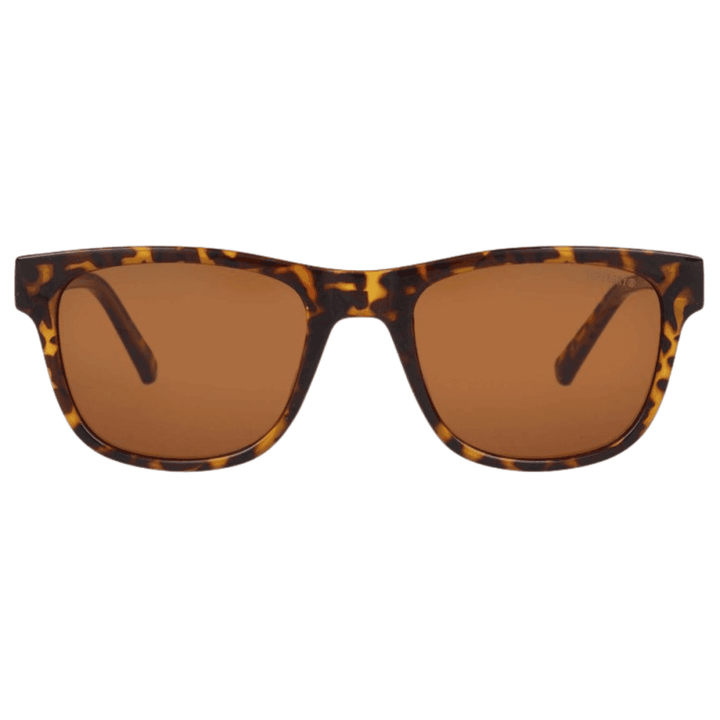 Superdry 5055 Sunglasses