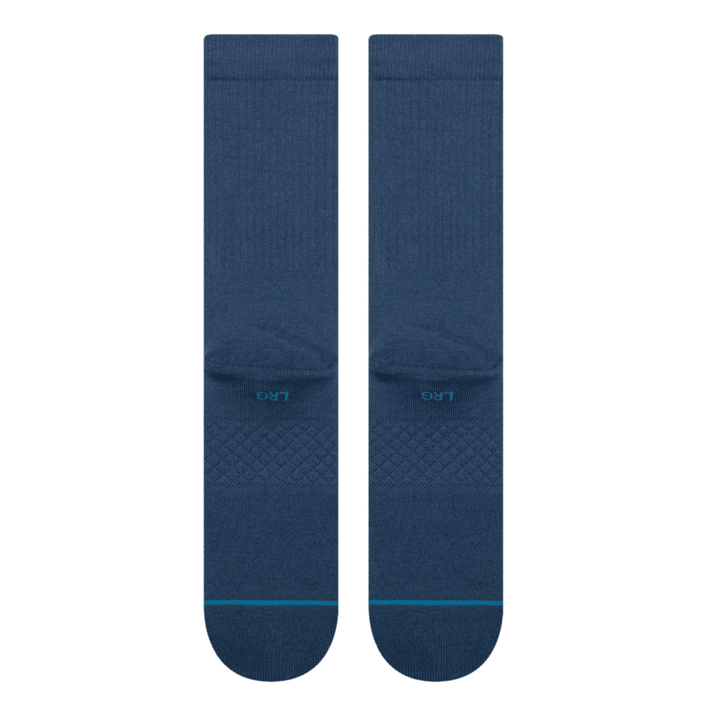 Stance Icon Socks