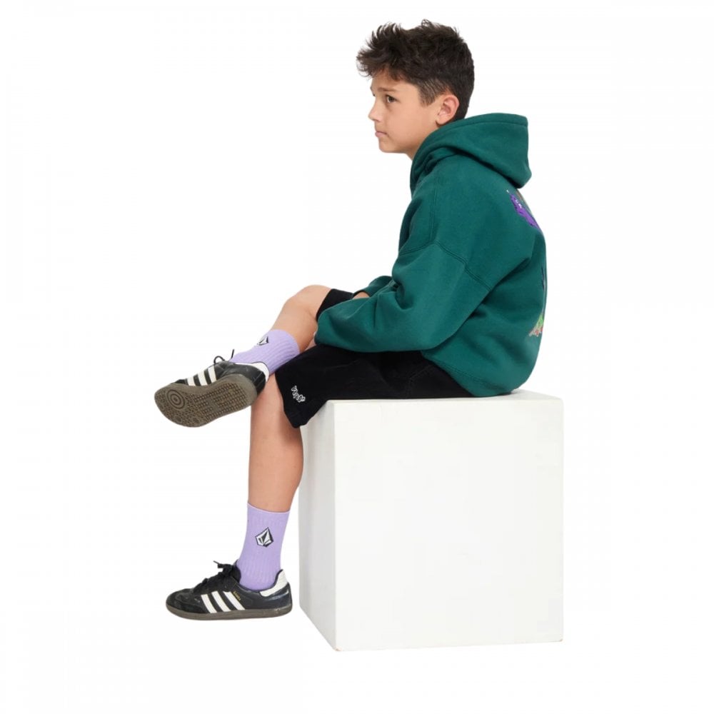 Volcom FA Ben Sanaire Po