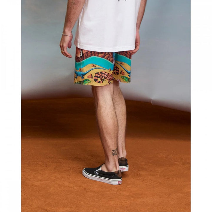 Volcom FA Mickey Mason Trunk 17