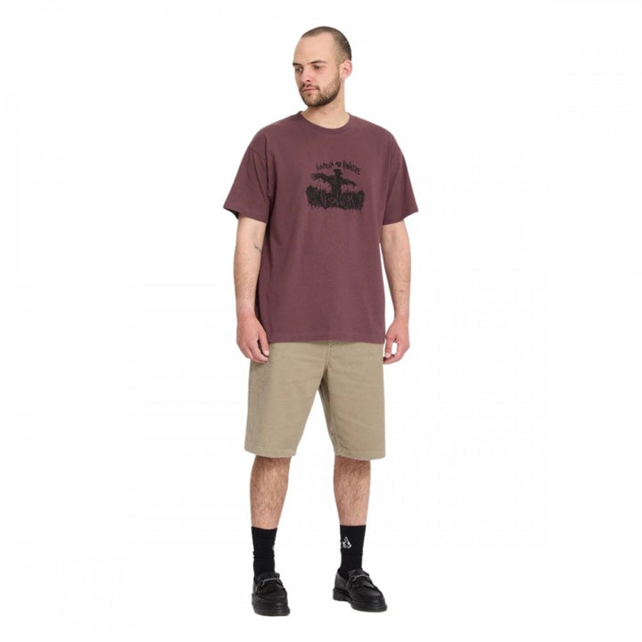 Volcom Freazy Loose EW Short 22