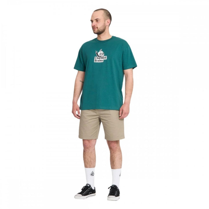 Volcom Frickin II EW Shorts 19