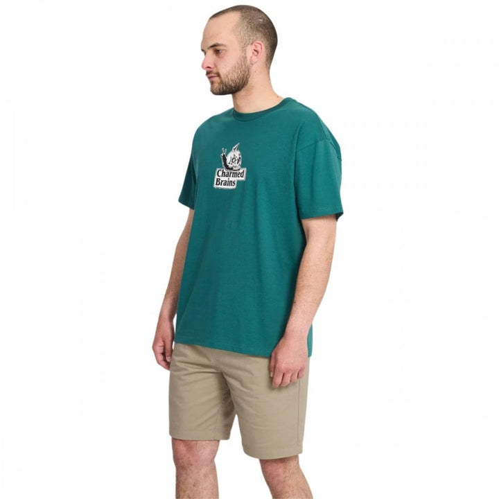 Volcom Frickin II EW Shorts 19